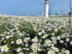 -新疆那拉提国家旅游度假区