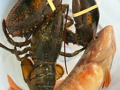 -绿波廊(豫园店)