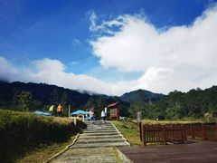 -海南热带雨林国家公园吊罗山景区