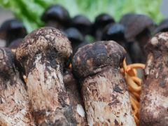 -大理董·董家小厨野生菌火锅(古城旗舰店)