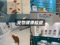 -美迦爱-动物医院·骨科·牙科·夜诊(朝阳路诊疗中心)