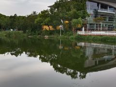 -新江湾城公园