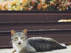 -苏州河梦清园环保主题公园