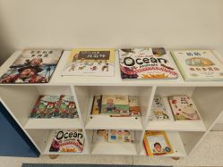 -杭州贝瑞斯美华妇儿医院·早孕·产检·儿科