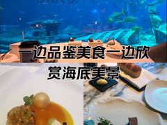 -亚特兰蒂斯•OSSIANO奥西亚诺海底餐厅