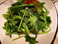 农家丝瓜苗-火齐潮汕砂锅粥(五道口店)