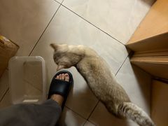 -石家庄市动物园