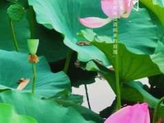 -云居湖