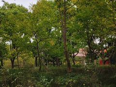 -黄兴公园
