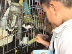-藦茜花园宠物主题亲子互动体验馆(国顺东路店)