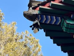 -大钟寺古钟博物馆