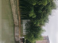 -陈家山荷花公园