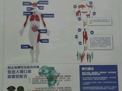 -上海国际旅行卫生保健中心(浦东分中心)