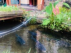 门面-万景饭店·鱼街农家菜