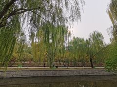 -元大都城垣遗址公园