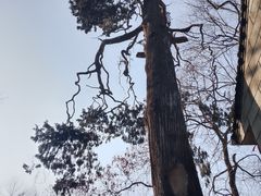 -终南山南五台景区
