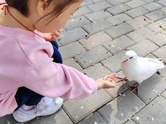 -1982农场