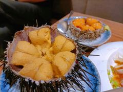 海胆-桂马·日本料理·海胆·海鲜饭·酒场(民主广场店)