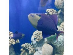 -福州罗源湾海洋世界旅游区