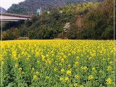 -贵阳市花溪国家城市湿地公园