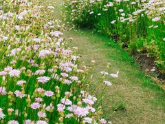 -春花秋色城市公园