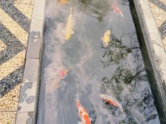 -西安市广仁寺