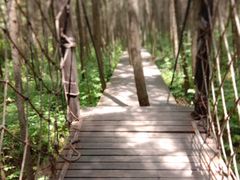 -青峰峡国家森林公园