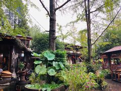 -青城甲(青城山店)