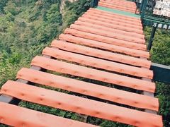 -梦幻奥陶纪景区