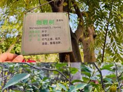 -广州神农草堂中医药博物馆