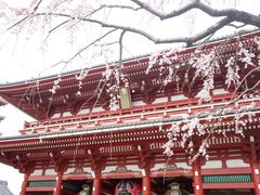 -浅草寺