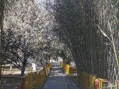 -罗布林卡