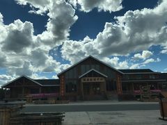 -红花尔基樟子松国家森林公园
