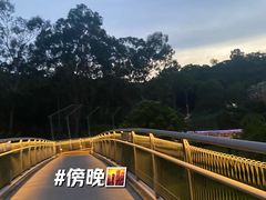 -广州雕塑公园