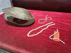 -万利美食生态园