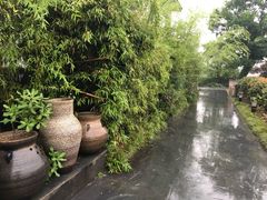 -帐篷客·溪龙茶谷度假酒店