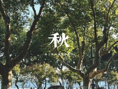 -北山街历史文化街区