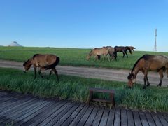 -呼和诺尔旅游景区