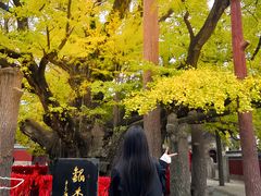 -浮来山风景区