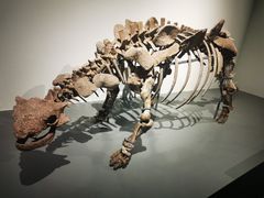-大连自然博物馆