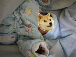 -上海市长宁区妇幼保健院
