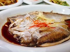 清蒸鲈鱼-七哥港式茶餐厅(亮马桥总店)