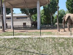 -石家庄市动物园