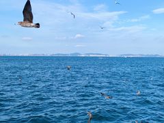 -烟台海昌鲸鲨海洋公园
