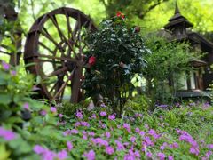 -花锦堂·隐庐