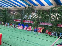 -第五季龙水凤港生态露营农场