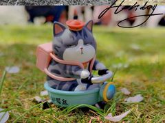 -顾村公园