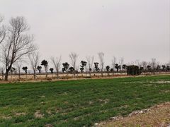 -嘉北郊野公园