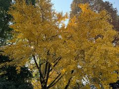 -上海市龙华烈士陵园