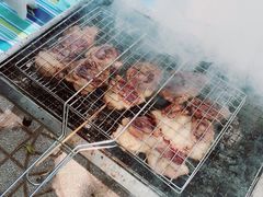 -顺鑫绿色度假村